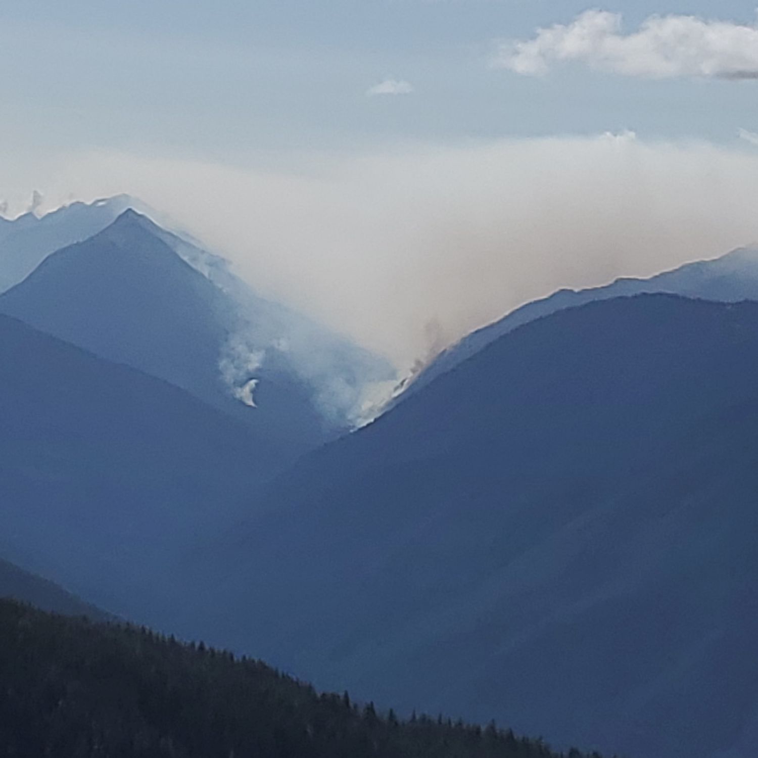 Olympic NP 